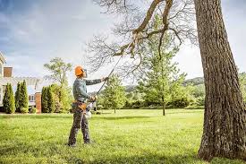 Best Firewood Processing and Delivery  in Fairmount Heights, MD