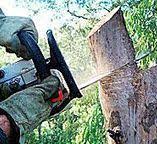 Best Utility Line Clearance  in Fairmount Heights, MD