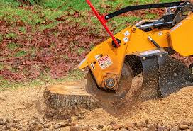 Best Storm Damage Tree Cleanup  in Fairmount Heights, MD