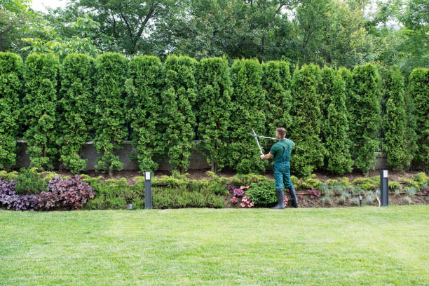 Best Lawn Drainage Solutions  in Fairmount Heights, MD